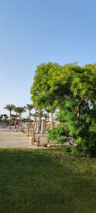 Strand Steigenberger Aqua Magic