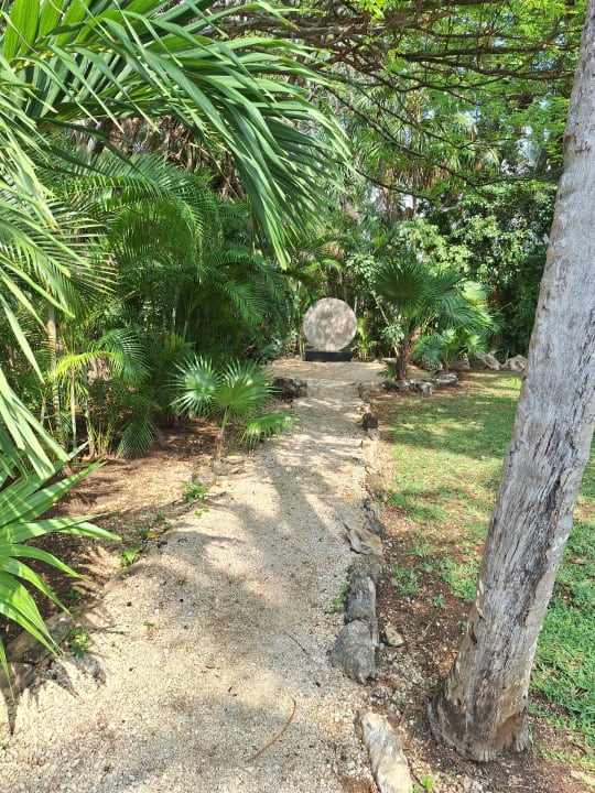 Gartenanlage Hotel Riu Tequila