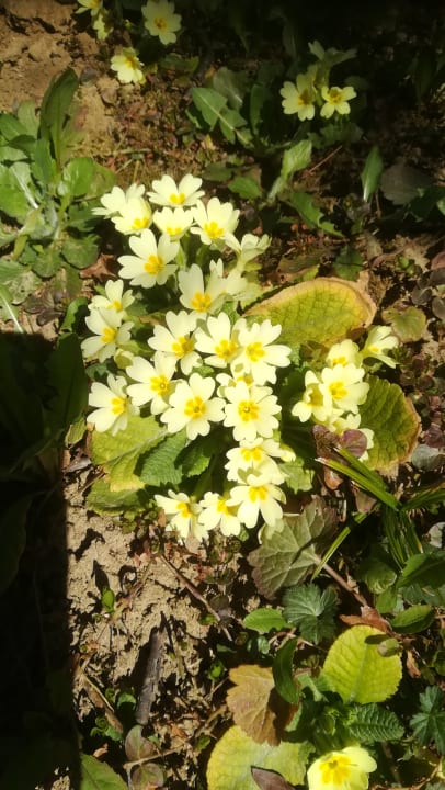 Pool Wilfinger Bio Thermen Hotel