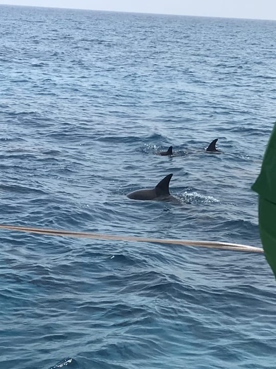 Sport & Freizeit Ancient Sands Golf Resort