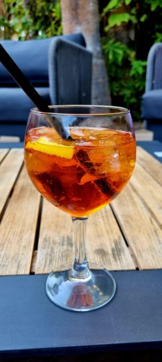 Gastro Tabaiba Princess