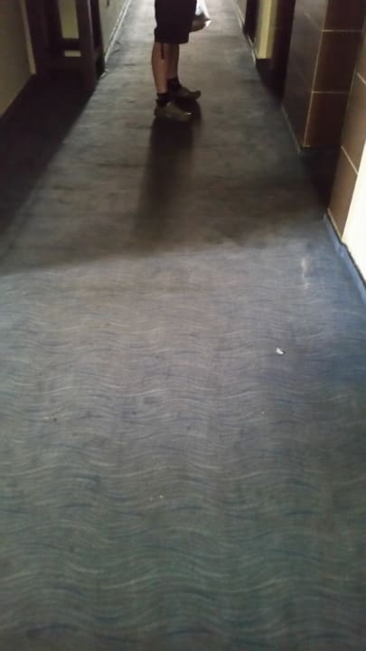 Teppich im Flur. Alles voller Pflegen. Hotel Aslan City Kleopatra