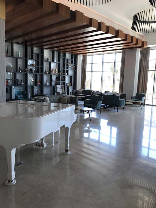 Gastro Acanthus Cennet Barut Collection