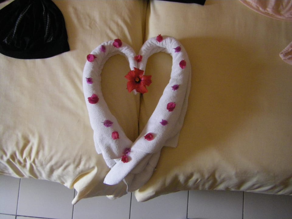 Nette Geste des Personals Iberostar Waves Mehari Djerba