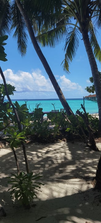 Gastro ROBINSON MALDIVES