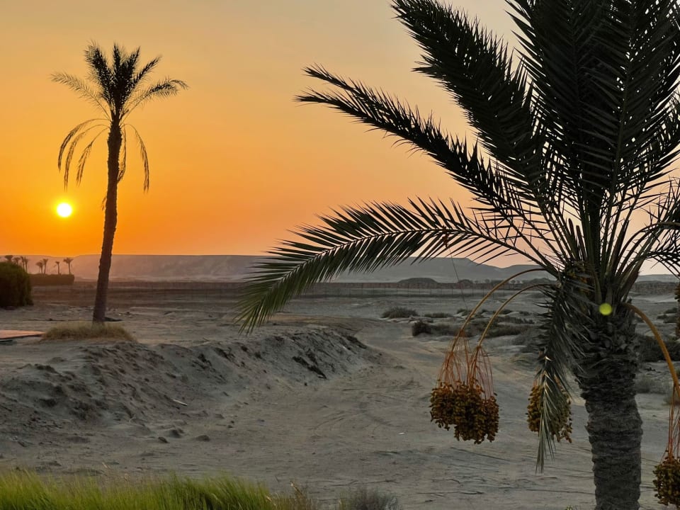 Ausblick Lahami Bay Beach Resort