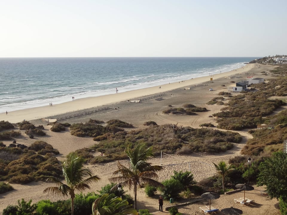 Wertvolle Vegetation = Salzpflanzen SBH Hotel Taro Beach