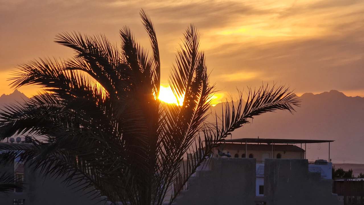 Ausblick Steigenberger Aqua Magic