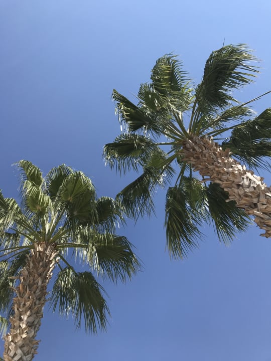 Ausblick Hane Family Resort