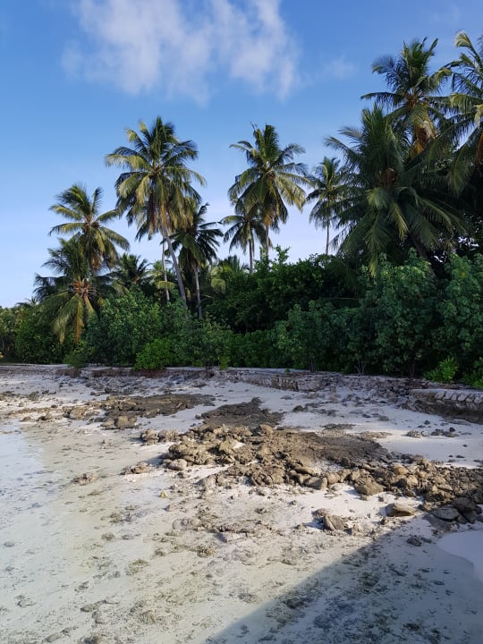 Strand Cinnamon Hakuraa Huraa Maldives