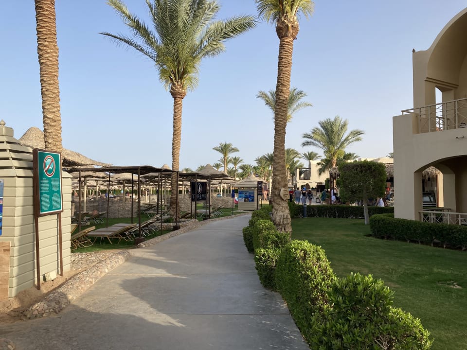 Gartenanlage Jaz Makadi Oasis Resort
