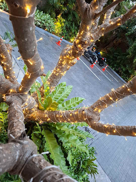 Gartenanlage Hotel Amber Pattaya