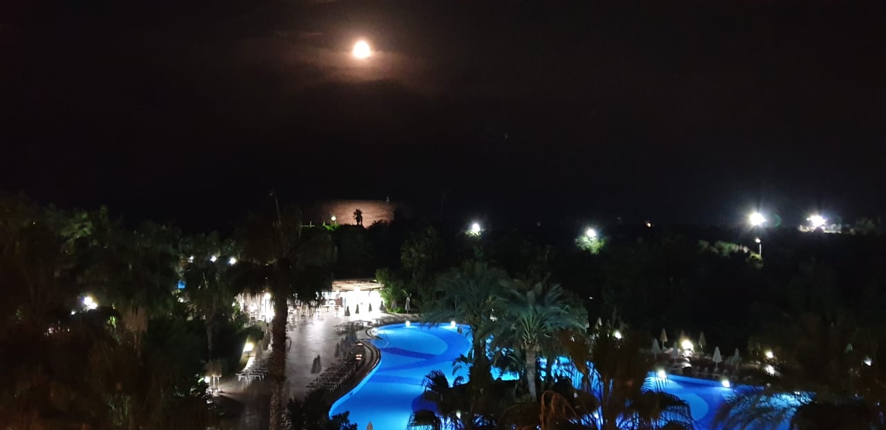 Gartenanlage Seaden Sea World Resort & Spa