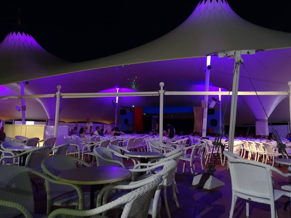 Minidisco Globales Bouganvilla