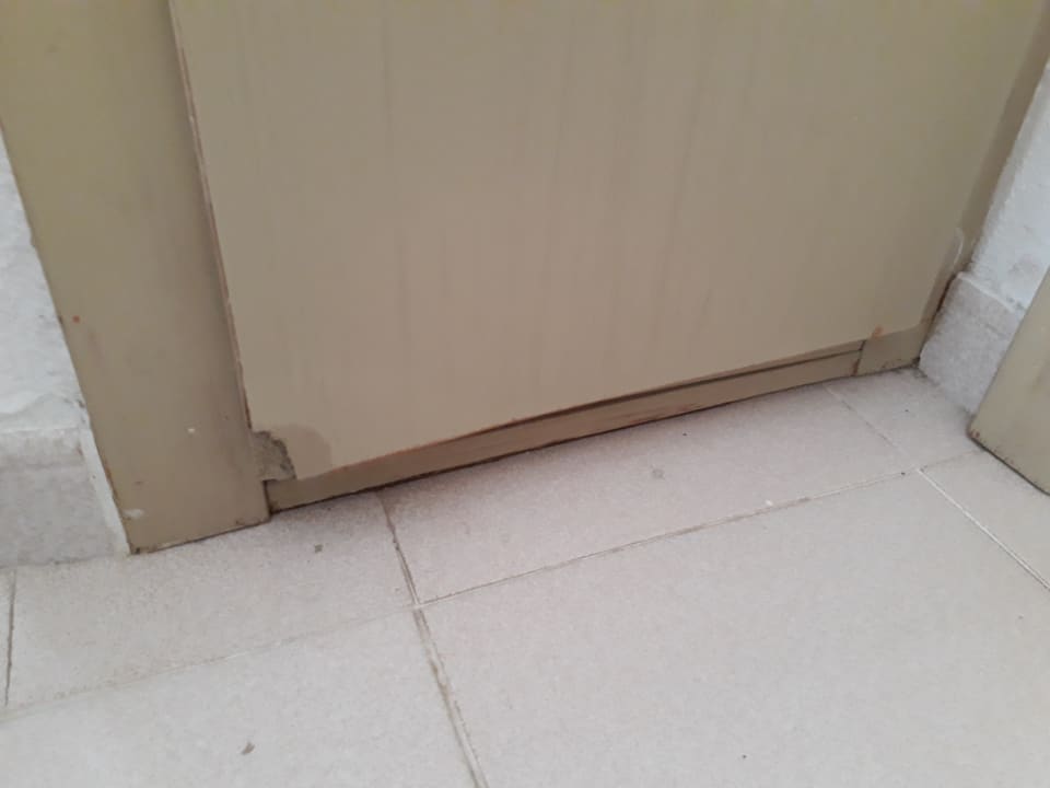 Zimmer blau punta reina