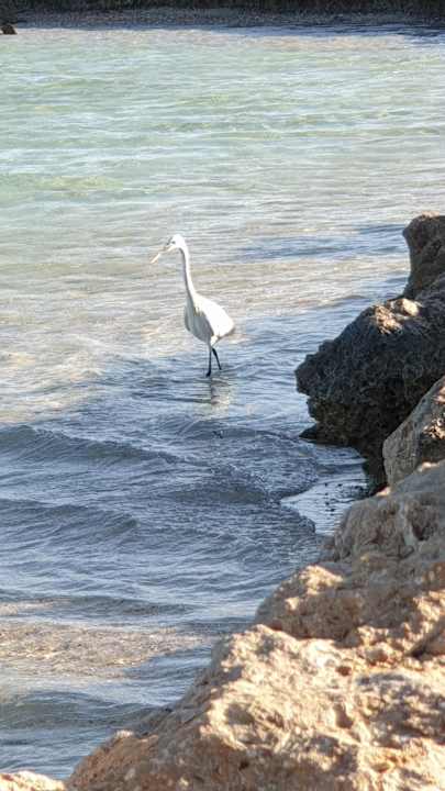Sonstiges Lazuli Hotel Marsa Alam