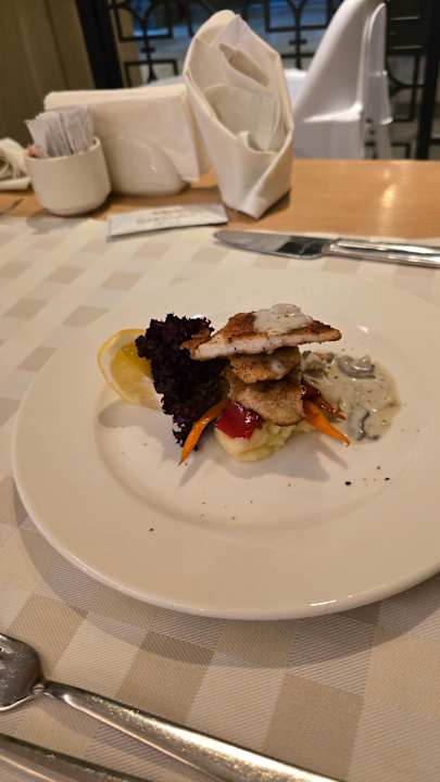 Gastro Seashell Vega