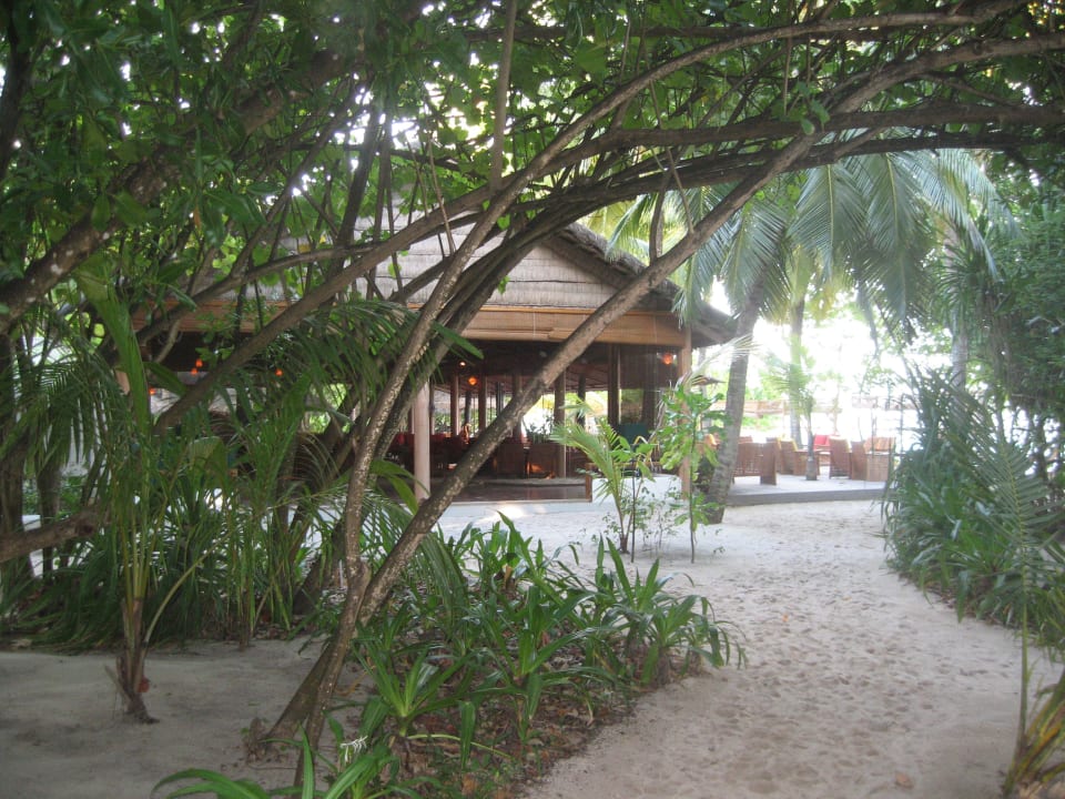 Zugang zum Hauptrestaurant NH Collection Maldives Reethi Resort