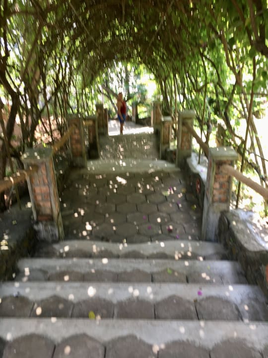 Sonstiges Somatheeram Ayurvedic Health Resort