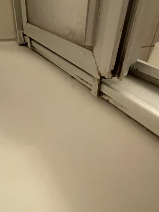 Zimmer Hotel Gremersdorf - Zum grünen Jäger