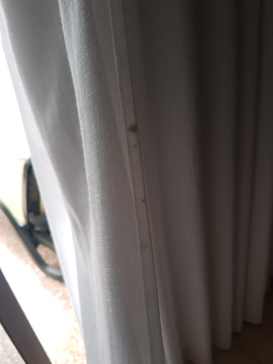 Zimmer Relaxia Olivina