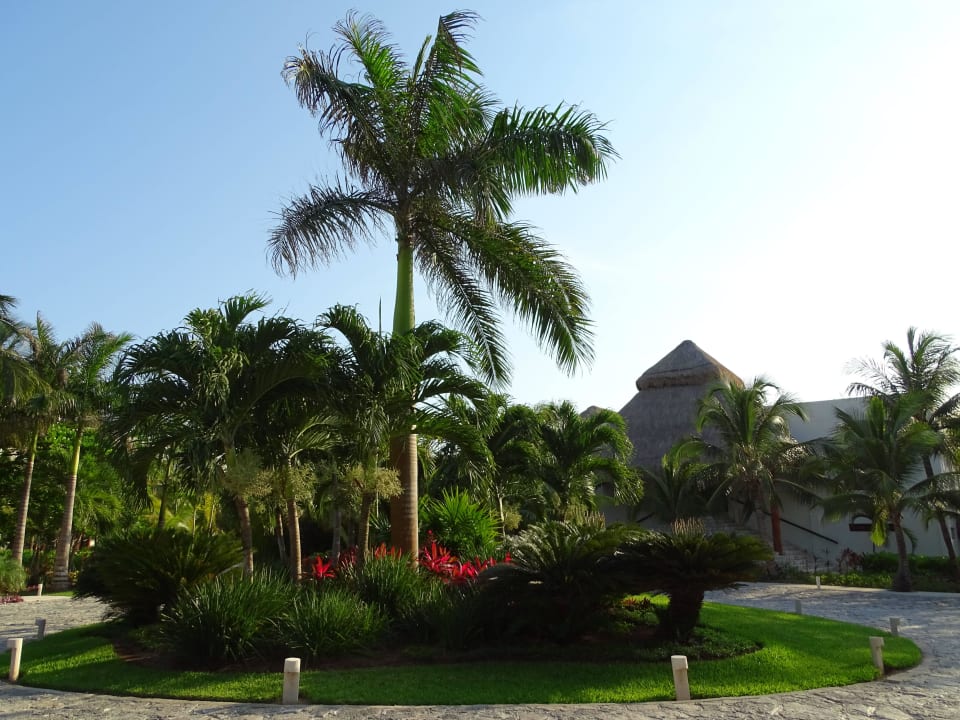 Vor der Rezeption Akumal Bay Beach & Wellness Resort