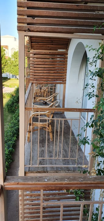 Sonstiges Desert Rose