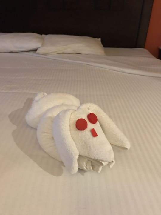 Zimmer Riviera Aqua Park Resort