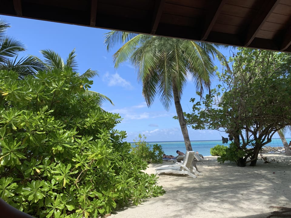 Strand Summer Island Maldives