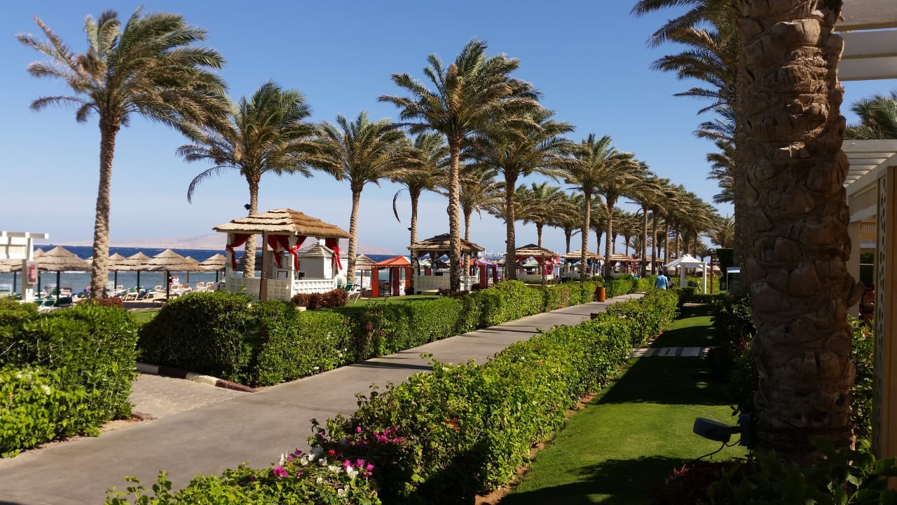 Strand Rixos Sharm El Sheikh Adults Only 18 +
