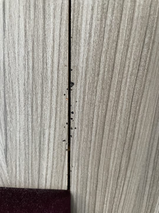 Zimmer Nemea Appart Hotel Elypseo Strasbourg Port