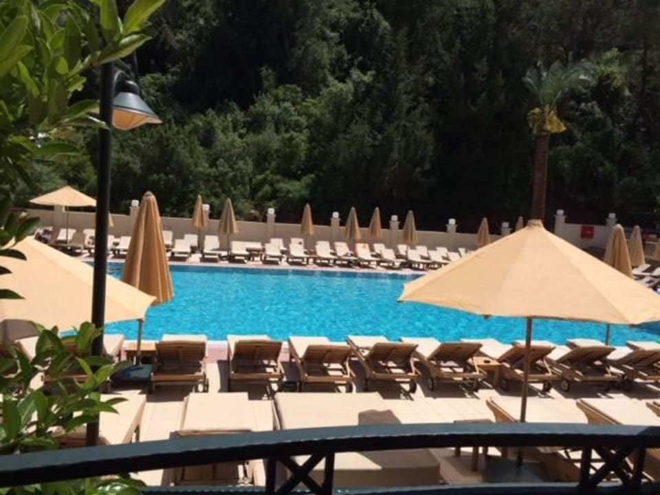 Blick von unserem Balkon Hotel Julian Forest