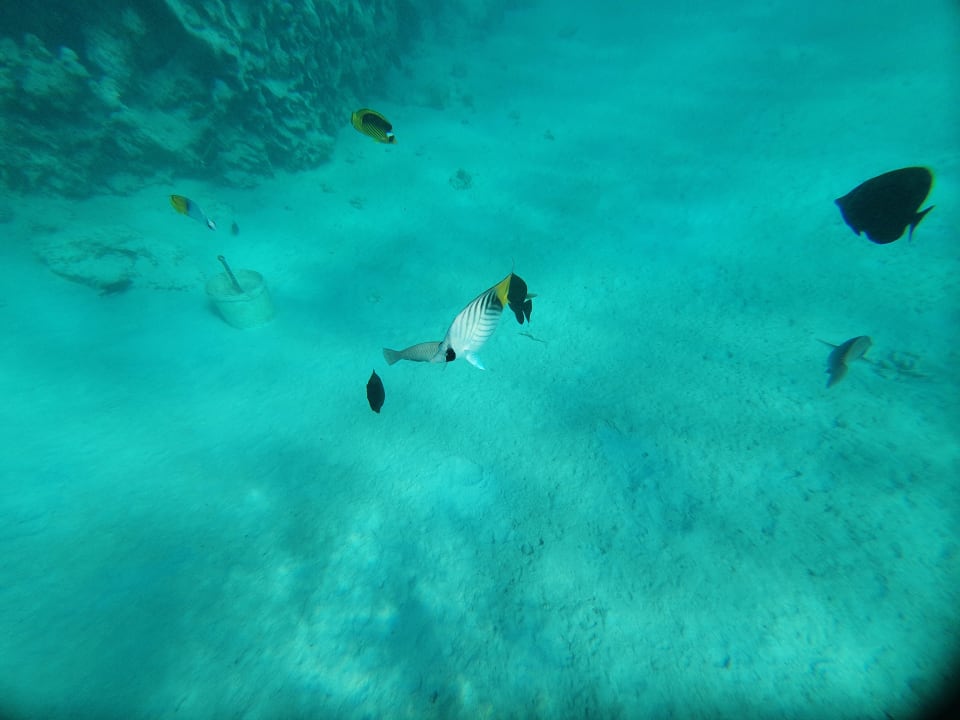 Sport & Freizeit Tropitel Sahl Hasheesh