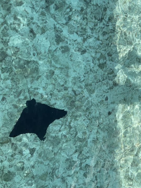 Strand Cinnamon Dhonveli Maldives