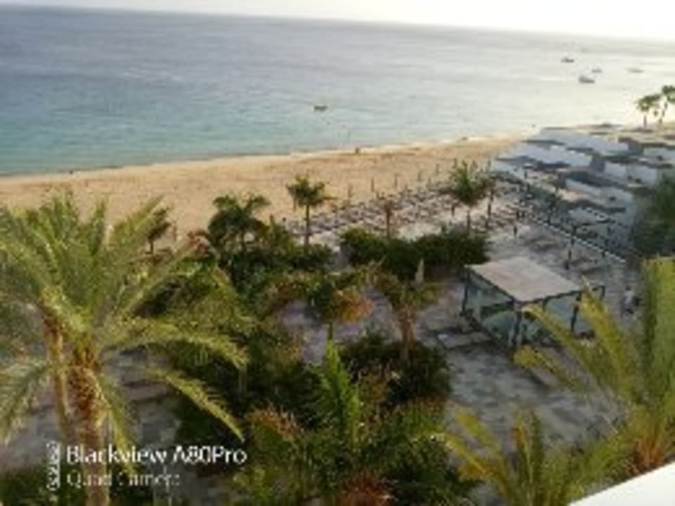 Gartenanlage Hotel Riu Palace Jandia