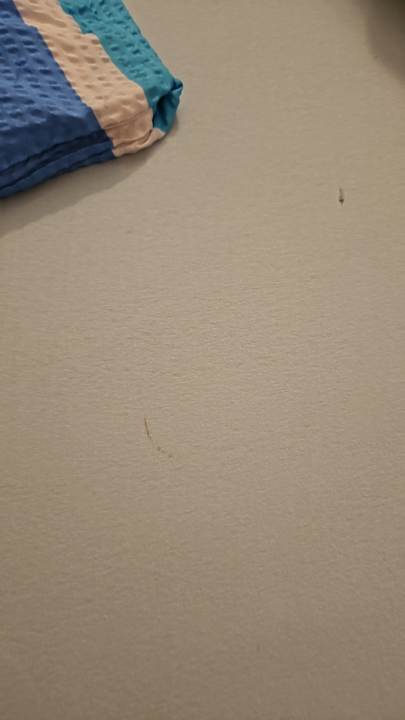 Zimmer Apartments Villa Schwan