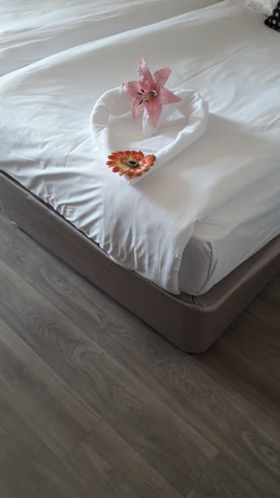 Zimmer Side Alegria Hotel & Spa - Adults only +16