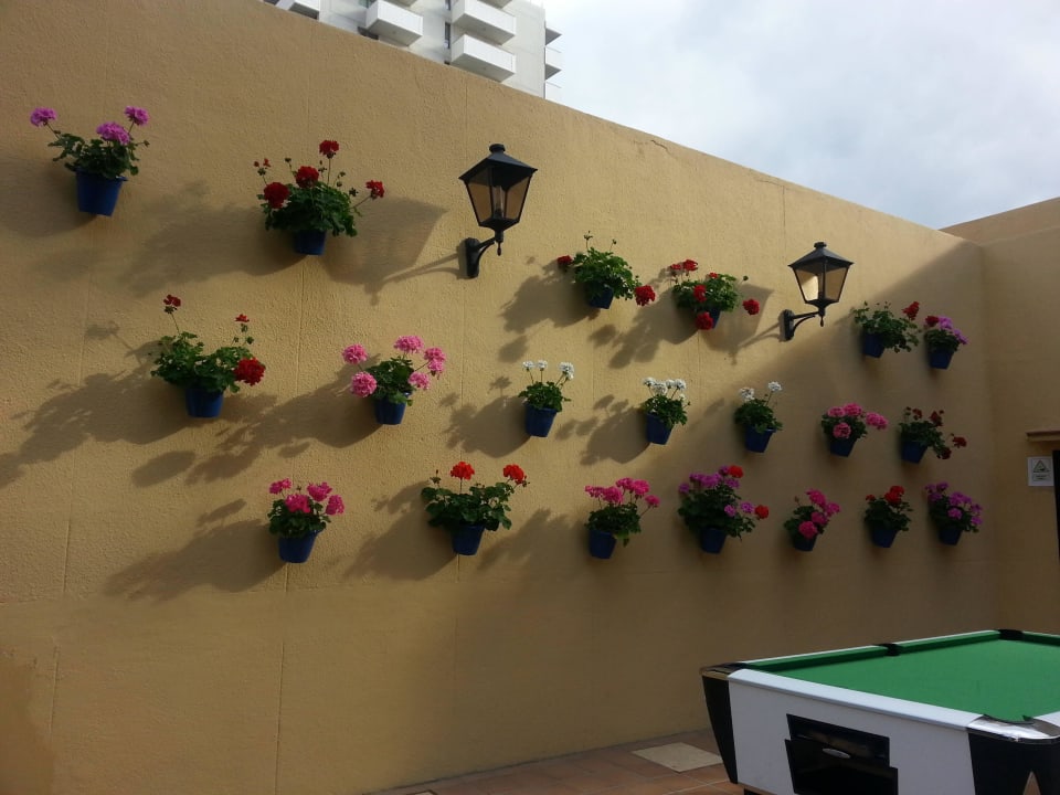 Die sehr gepflegte Außenalage. Bahia Principe Sunlight San Felipe