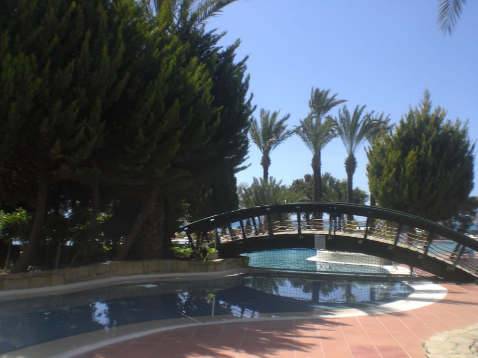 Pool PALOMA Perissia