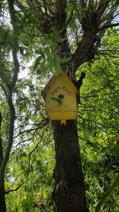 Gartenanlage Helena Sands