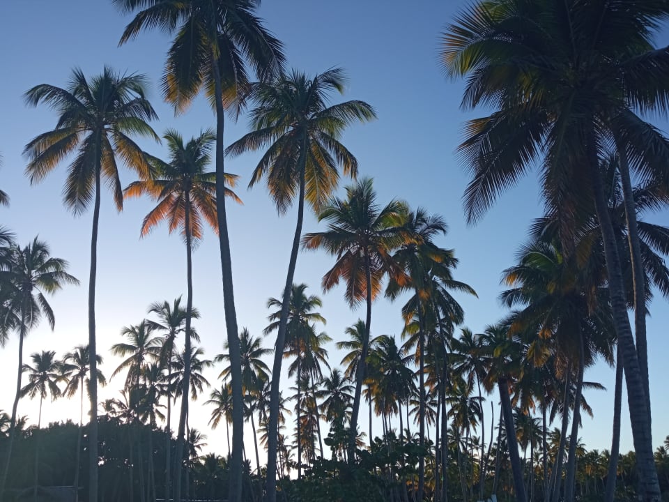 Strand Wyndham Alltra Samana