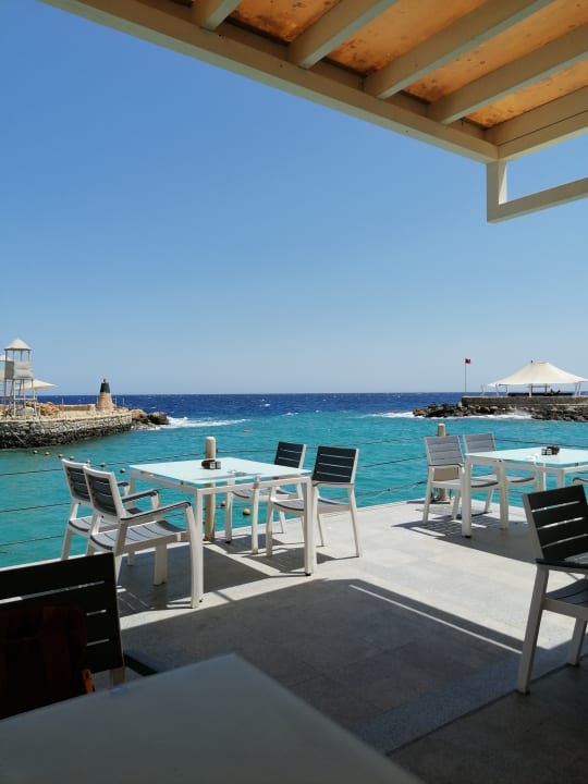 Gastro Pickalbatros Citadel Resort