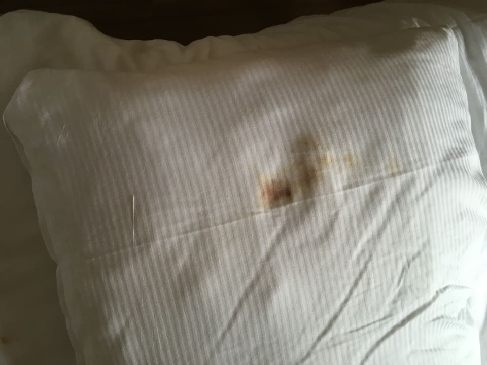 Zimmer Center Parcs Park Bostalsee