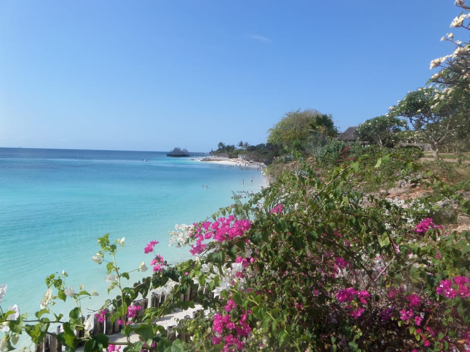 Ausblick Hotel Riu Palace Zanzibar