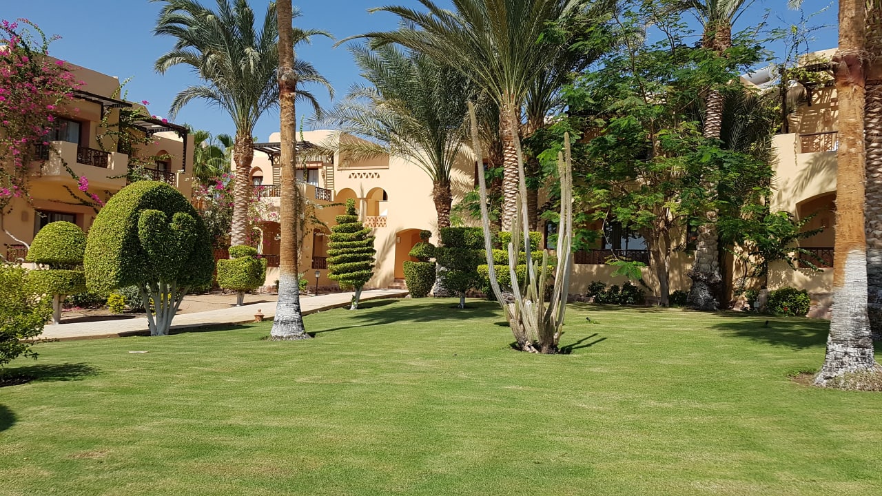 Garten Steigenberger Coraya Beach - Adults only