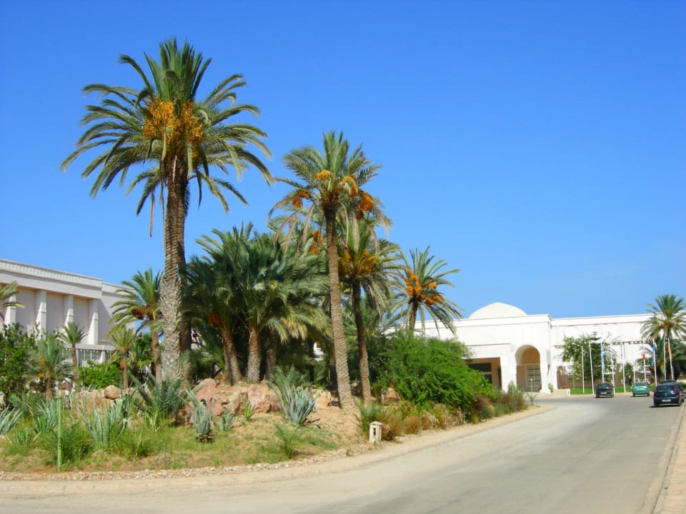 Zufahrt zum Hotel Zita Beach Resort