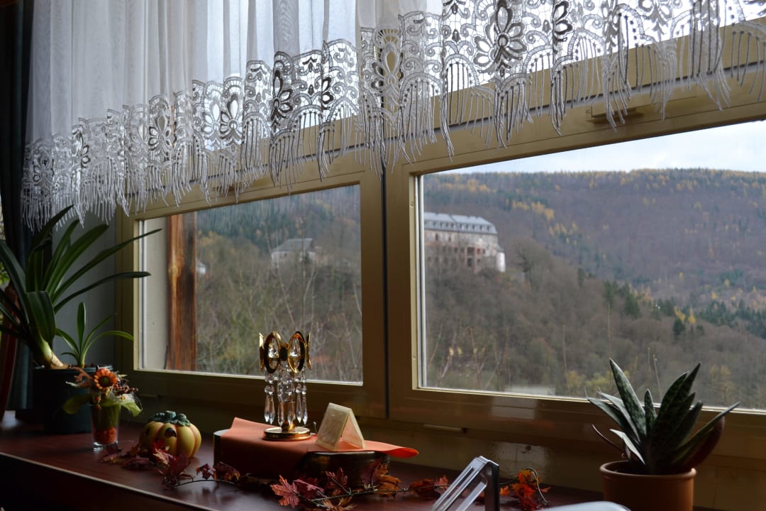 Blick aus dem Restaurant Hotel Weißer Hirsch