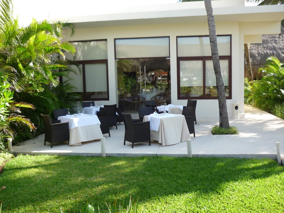 Restaurant Akumal Bay Beach & Wellness Resort