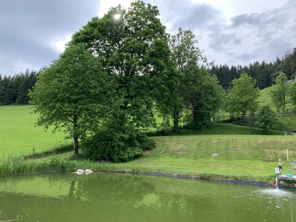 Gartenanlage Familienhotel Berger