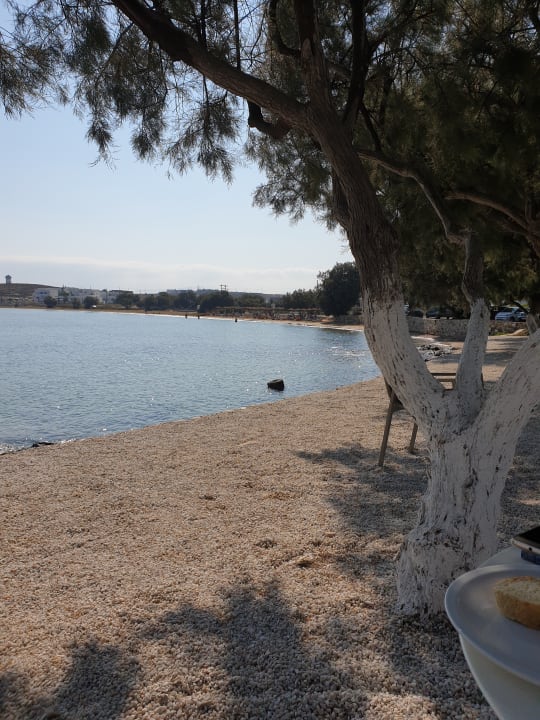 Strand Kalypso Hotel & Apartments